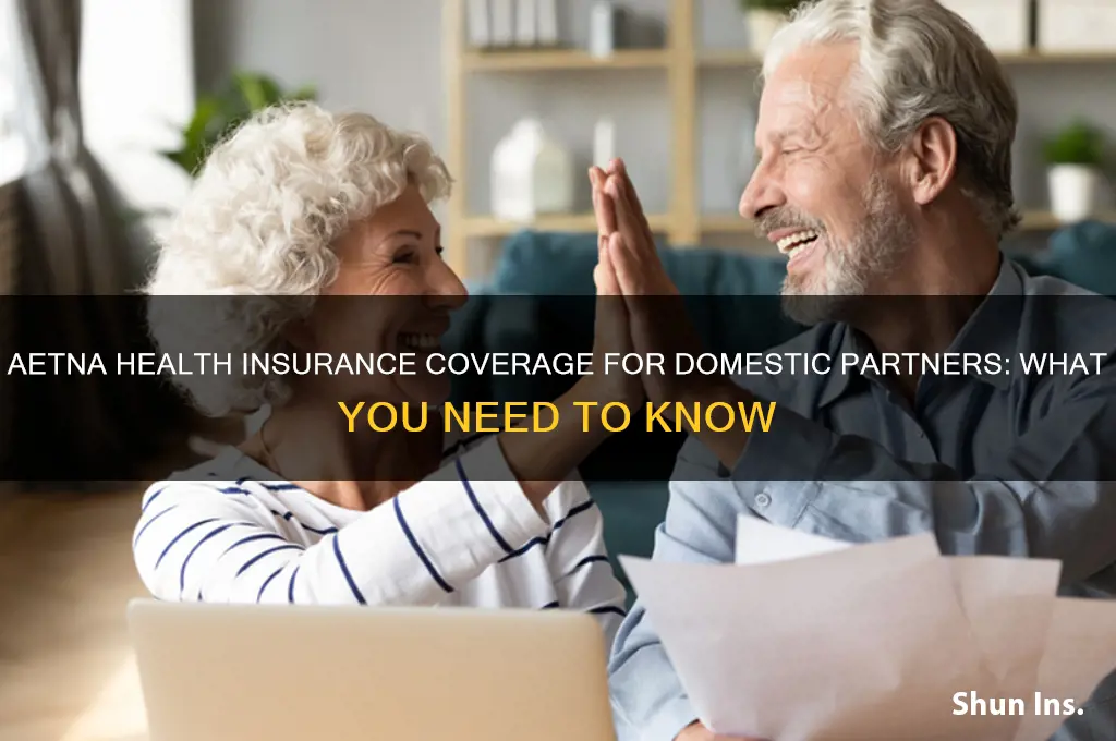 does aetna health insurance cover domestic partners