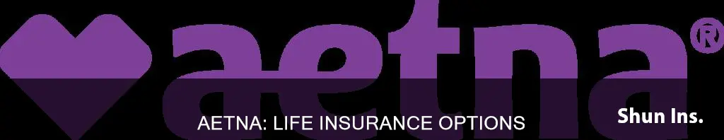 does aetna sell life insurance