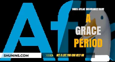 Aflac Insurance Grace Period: What Policyholders Need to Know