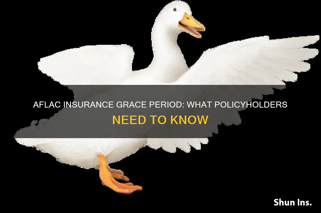does aflac insurance have a grace period