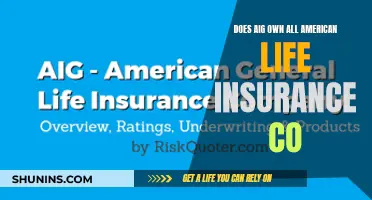 AIG and All American Life Insurance: Who's the Owner?