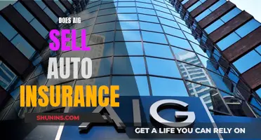 AIG Auto Insurance: What You Need to Know