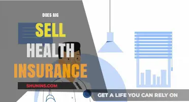Does AIG Offer Health Insurance? Exploring Coverage Options and Plans
