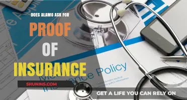Does Alamo Require Proof of Insurance? What Renters Need to Know