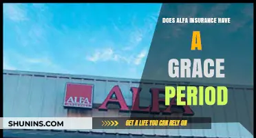 Alfa Insurance Grace Period: What Policyholders Need to Know