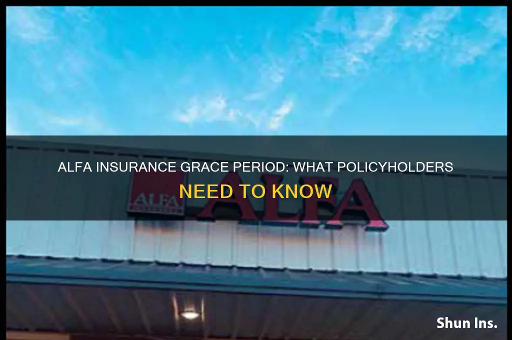 does alfa insurance have a grace period