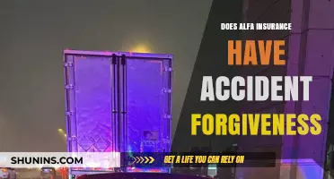 Alfa Insurance: Accident Forgiveness and You