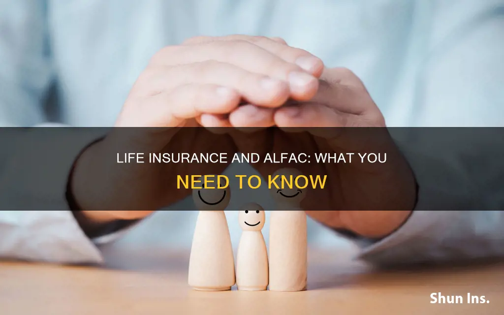 does alfac have life insurance