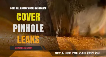 Homeowners Insurance: Are Pinhole Leaks Covered?