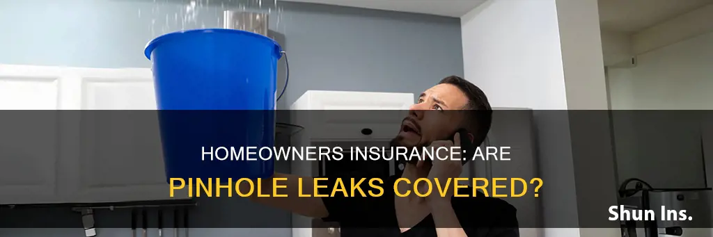 does all homeowners insurance cover pinhole leaks