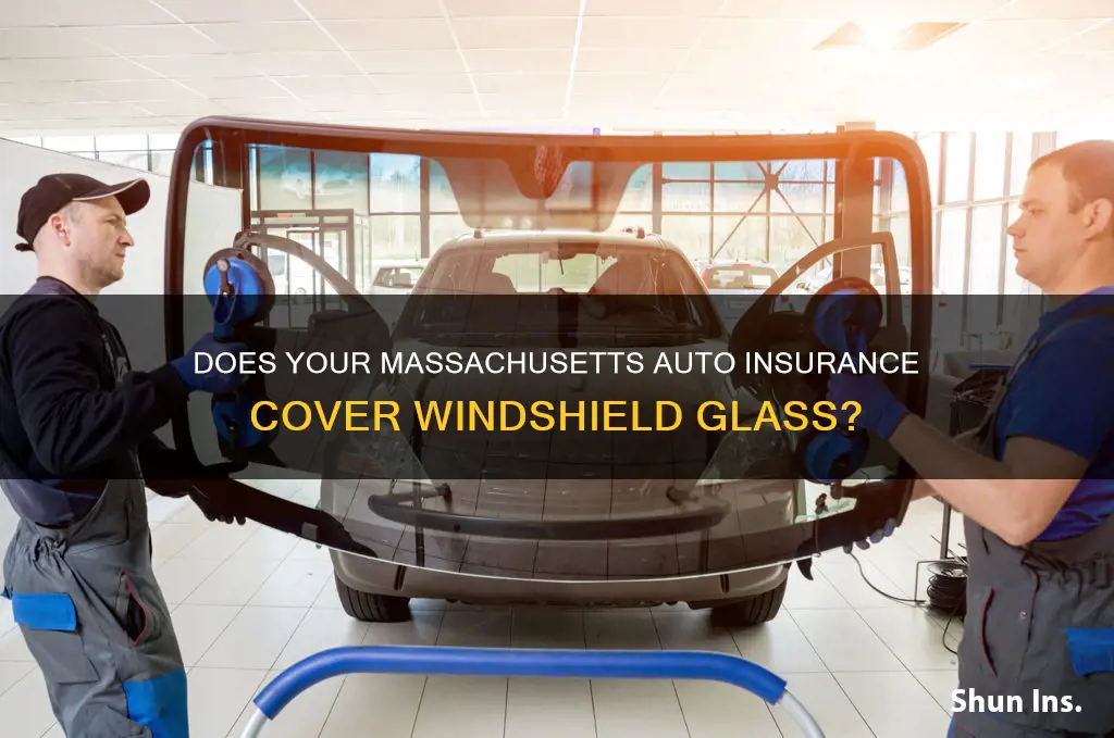 does all mass auto insurance cover windshield glass