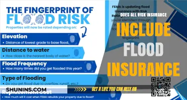 Risk Insurance: Flood Coverage Included?