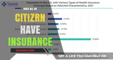 Do All U.S. Citizens Have Health Insurance? Exploring Coverage Gaps