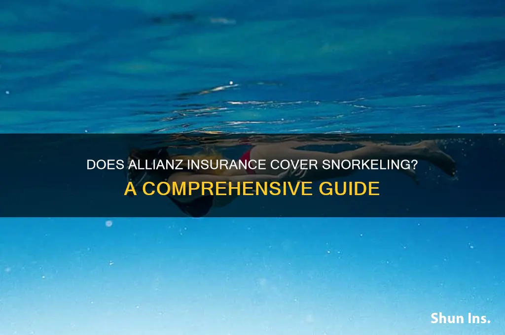 does allianz insurance snorkeling