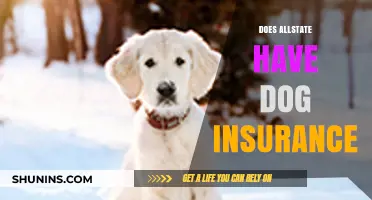 Does Allstate Offer Dog Insurance? A Comprehensive Coverage Guide