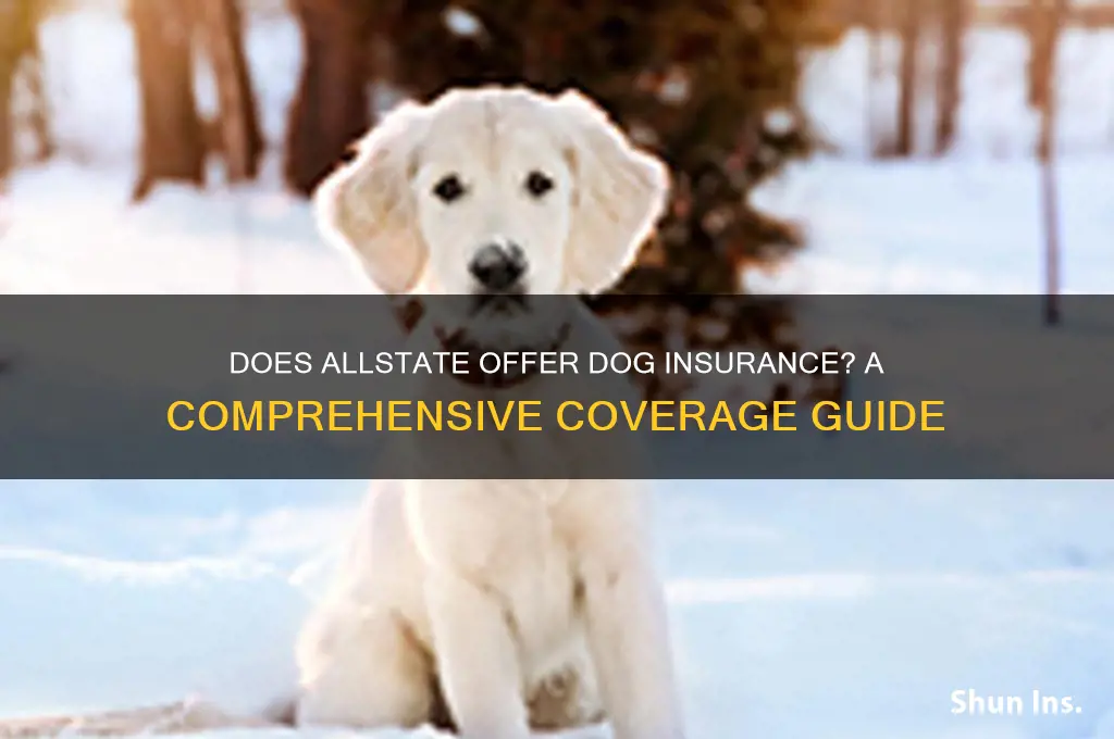 does allstate have dog insurance