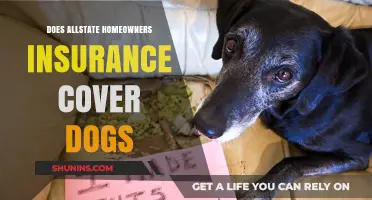 Allstate Home Insurance: Are Your Dogs Covered?