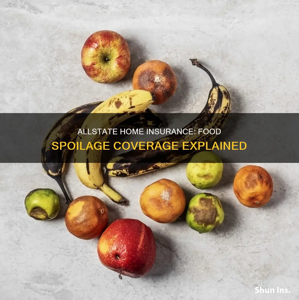 does allstate homeowners insurance cover food spoilage