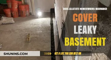Allstate Homeowners Insurance: Leaky Basement Covered?