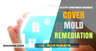 Allstate Homeowners Insurance: Does It Cover Mold Remediation?