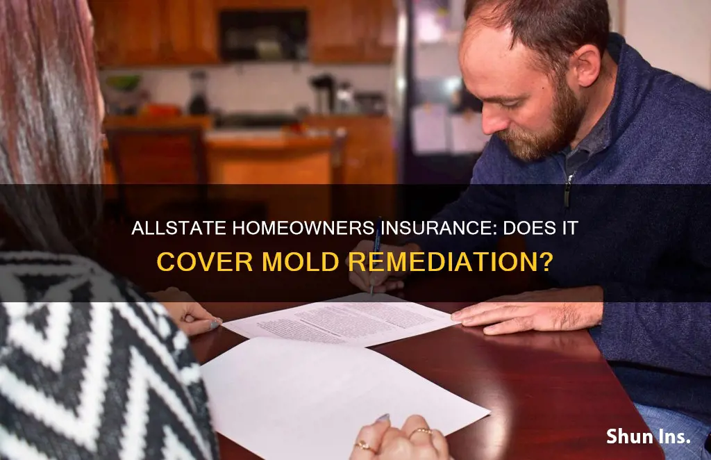 does allstate homeowners insurance cover mold remediation