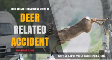 Allstate Insurance: Deer Accidents and Your Rates