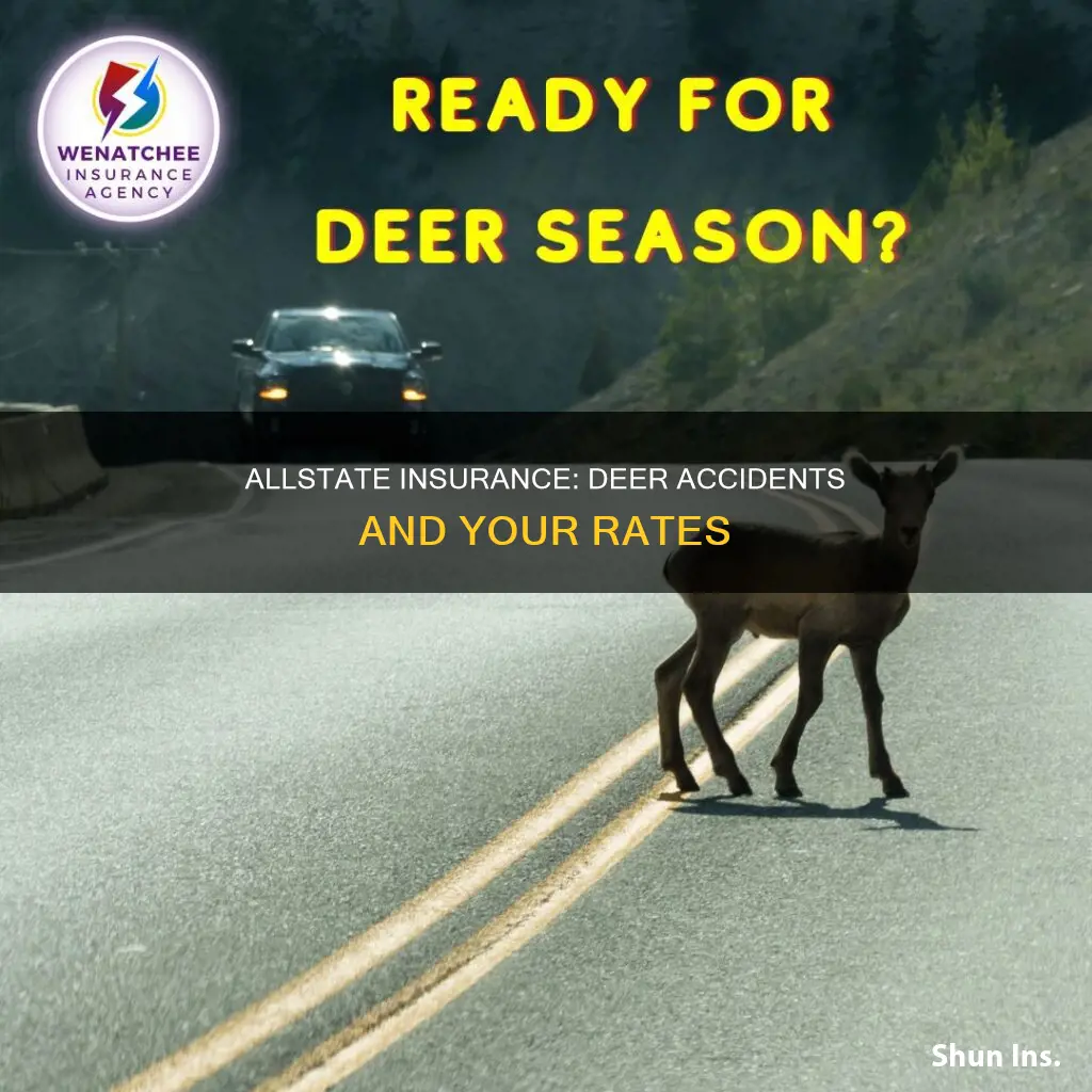 does allstate insurance go up in deer related accident
