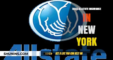 Does Allstate Insurance in New York Meet Your Coverage Needs?