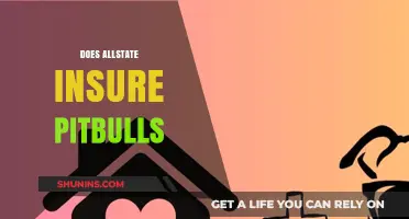 Does Allstate Insure Pitbulls? Understanding Breed Restrictions in Home Insurance
