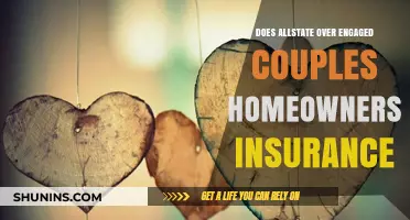 Allstate's Home Insurance: Engaged Couples' Best Friend