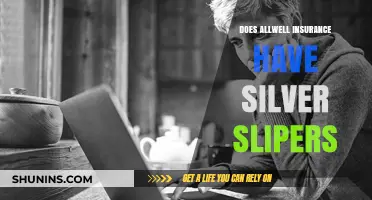 Does Allwell Insurance Offer Silver Slippers? Unveiling Coverage Details