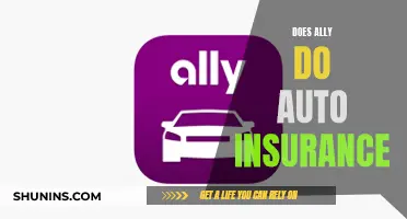 Ally Auto Insurance: What You Need to Know