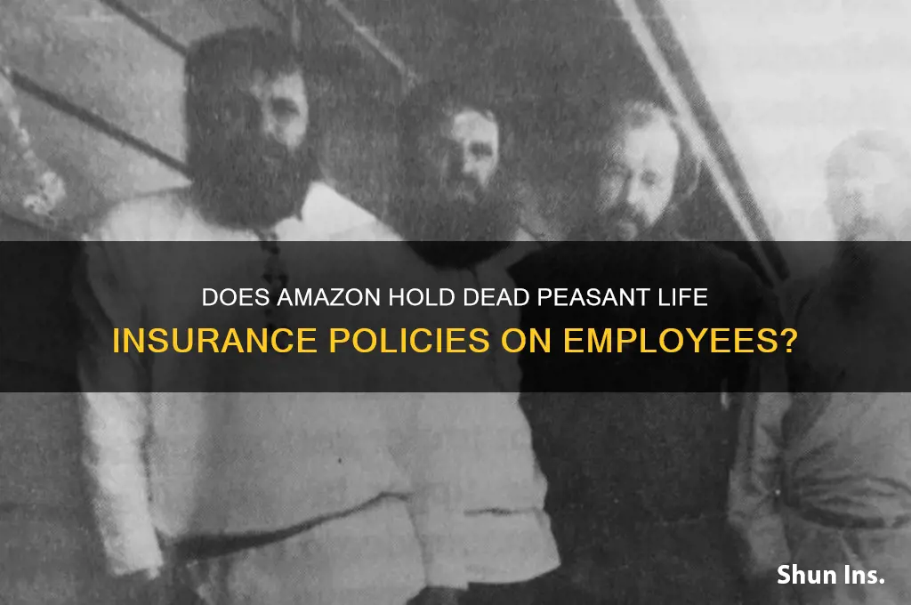 does amazon have dead peasant insurance