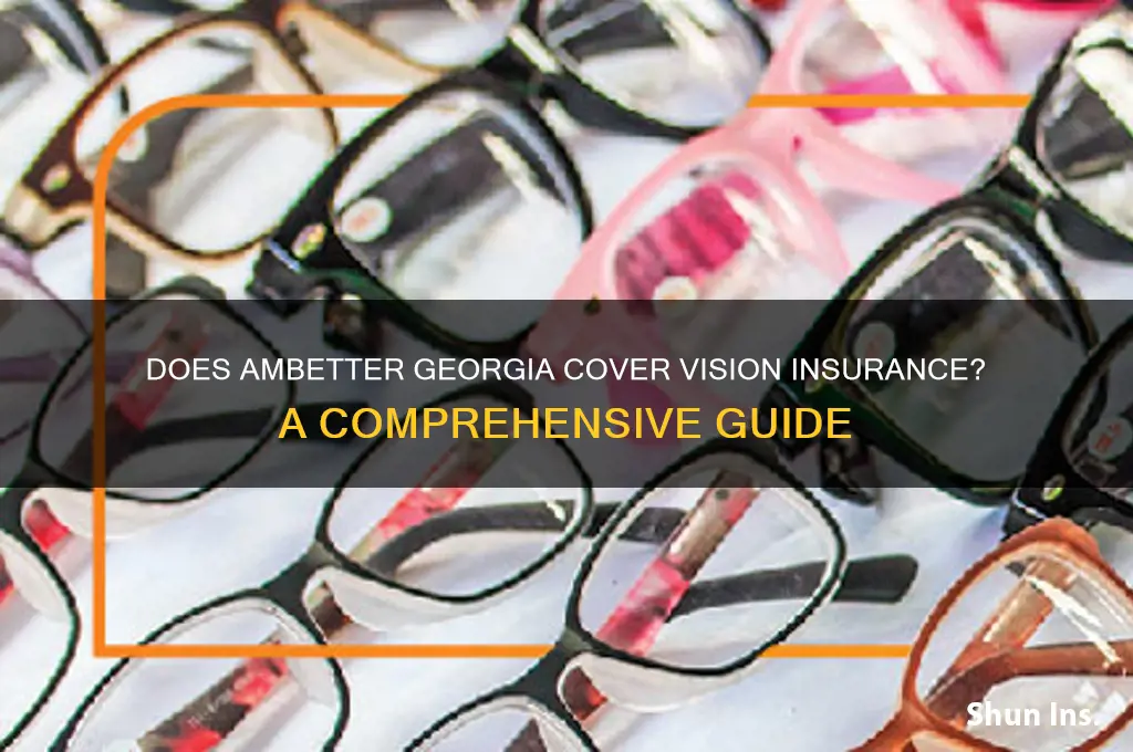 does ambetter georgia have vision insurance
