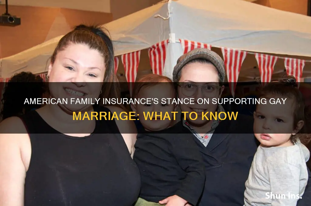 does amerian family insurance support gay marriage