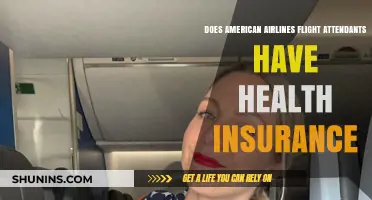 Do American Airlines Flight Attendants Have Health Insurance?