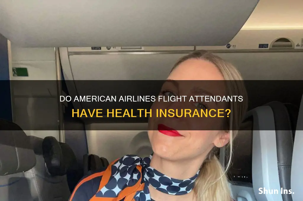 does american airlines flight attendants have health insurance