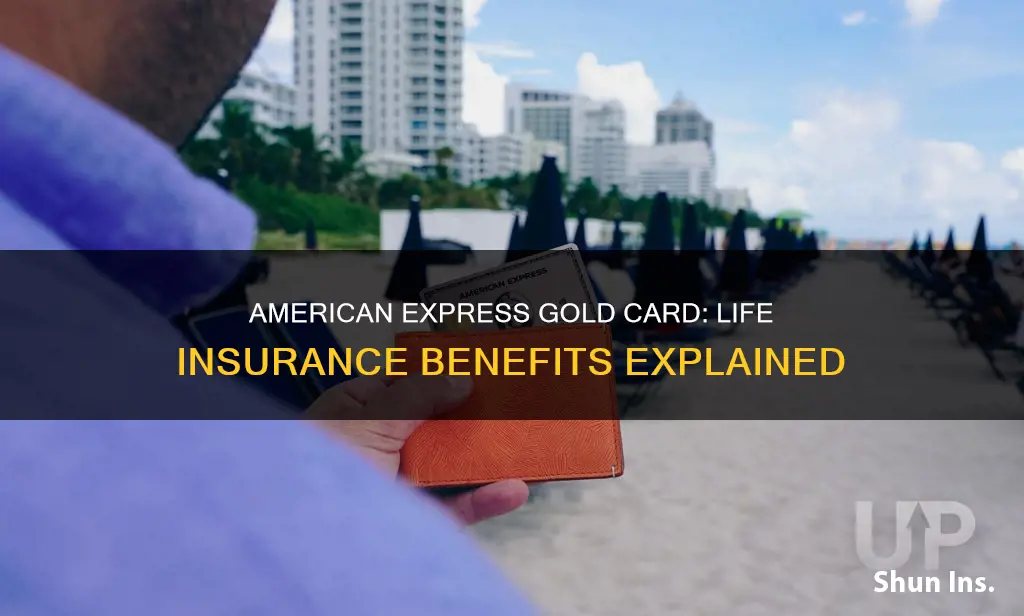 does american express gold card offer life insurance