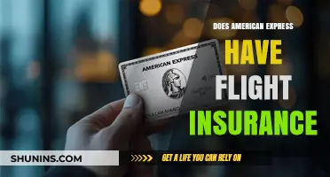 Does American Express Offer Flight Insurance? A Comprehensive Guide