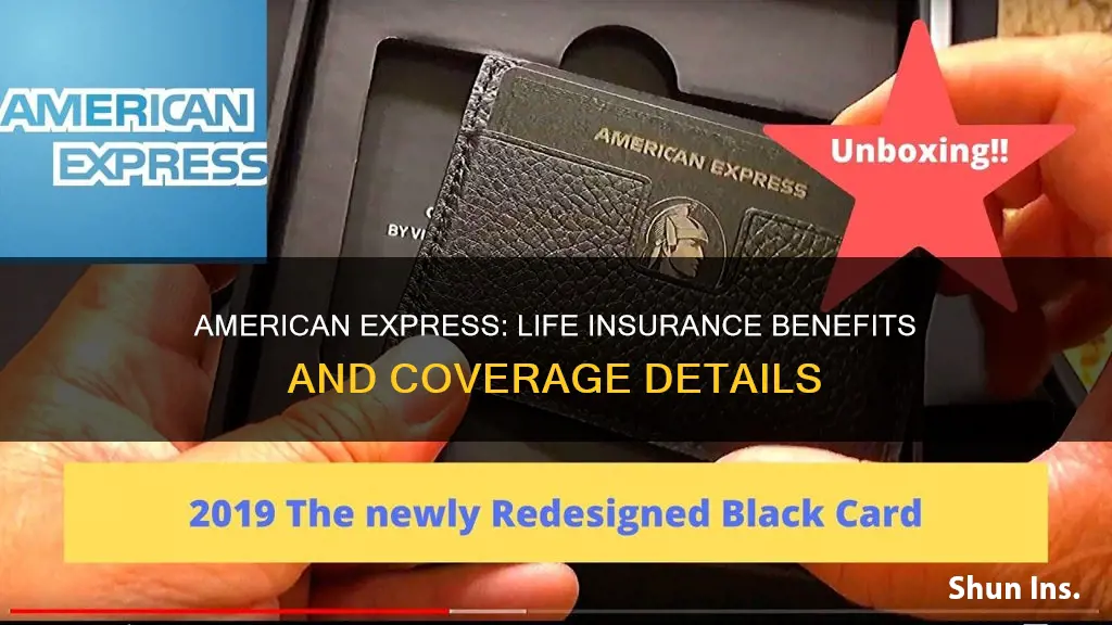 does american express have life insurance