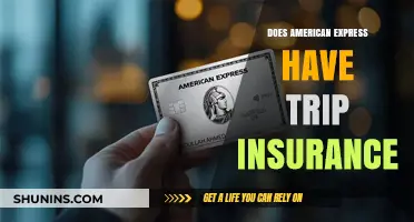 Does American Express Offer Trip Insurance? A Comprehensive Guide