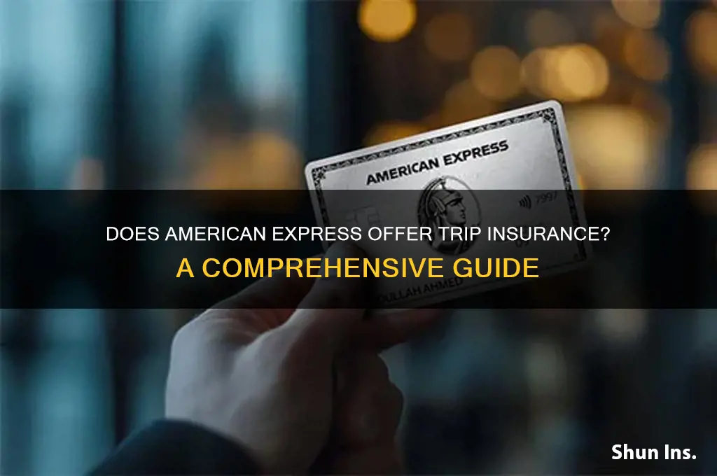 does american express have trip insurance