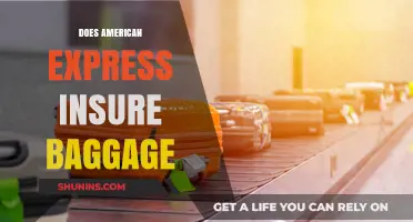 Does American Express Offer Baggage Insurance? A Comprehensive Guide