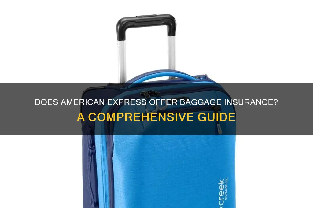 does american express insure baggage