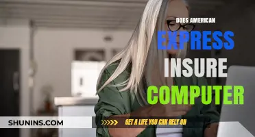 Does American Express Offer Computer Insurance? What You Need to Know