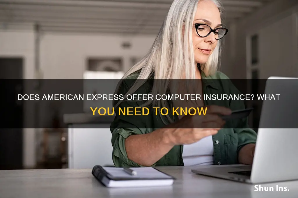 does american express insure computer