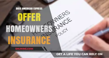 American Express: Homeowners Insurance Provider?