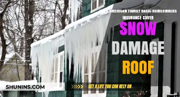 Homeowners Insurance: Snow-Damaged Roof Coverage?