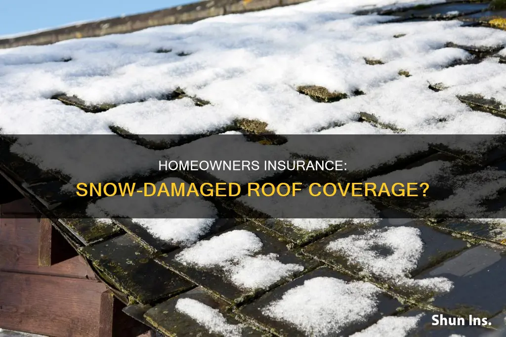 does american family basic homeowners insurance cover snow damage roof