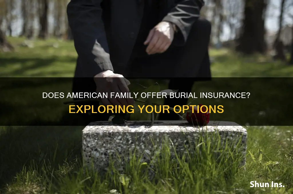 does american family have burial insurance